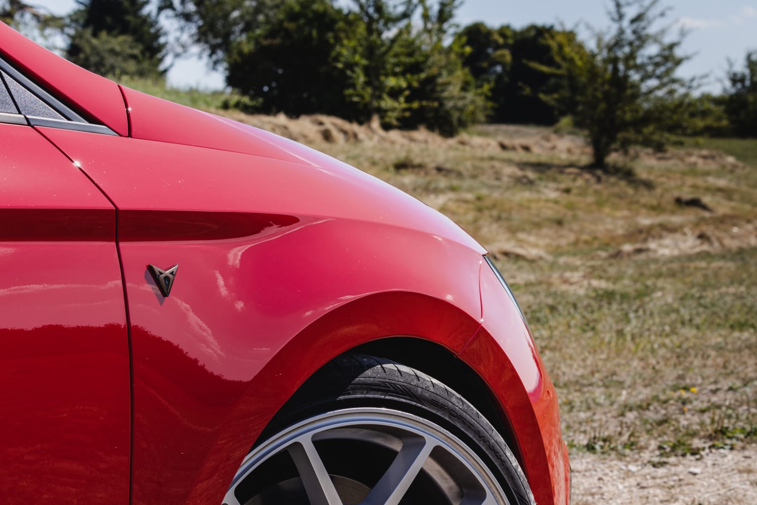 Cupra emblem set for the fenders